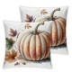 Ulloord Fall Pumpkin Throw Pillow Covers Pillow Case Farmhouse Grey Autumn Pumpkin Decorative Cushion Case for Thanksgiving Farmhouse Sofa Office,